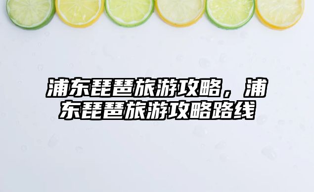 浦東琵琶旅游攻略，浦東琵琶旅游攻略路線