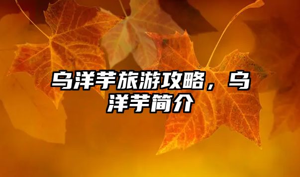 烏洋芋旅游攻略，烏洋芋簡介