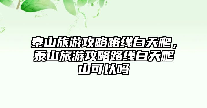 泰山旅游攻略路線白天爬，泰山旅游攻略路線白天爬山可以嗎