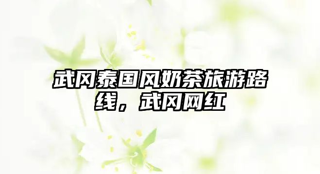武岡泰國風奶茶旅游路線，武岡網紅