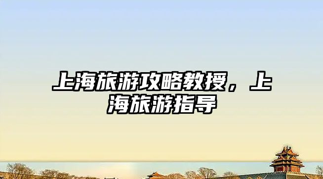 上海旅游攻略教授，上海旅游指導