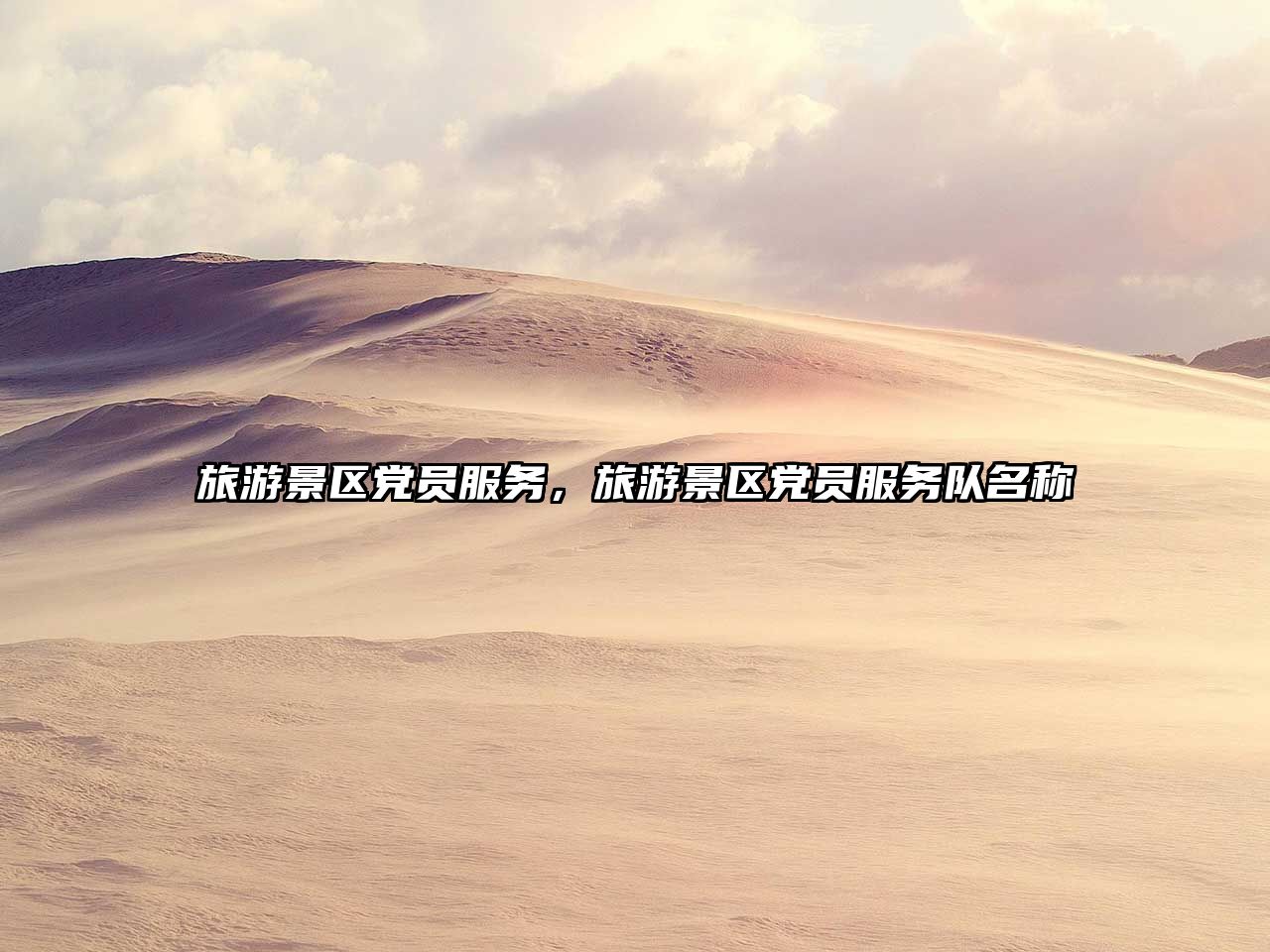 旅游景區黨員服務，旅游景區黨員服務隊名稱