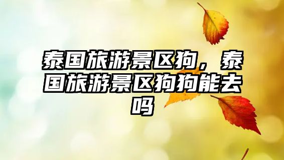 泰國旅游景區狗，泰國旅游景區狗狗能去嗎