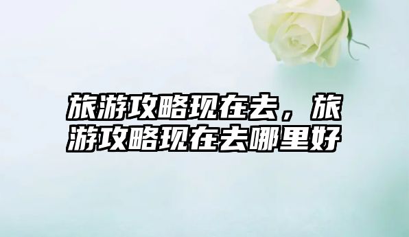 旅游攻略現在去，旅游攻略現在去哪里好