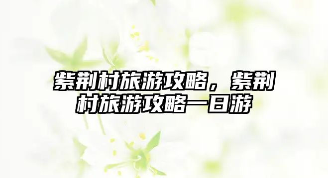 紫荊村旅游攻略，紫荊村旅游攻略一日游