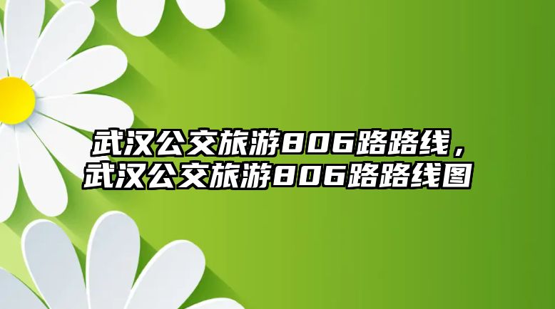 武漢公交旅游806路路線，武漢公交旅游806路路線圖