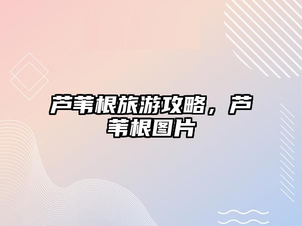 蘆葦根旅游攻略，蘆葦根圖片