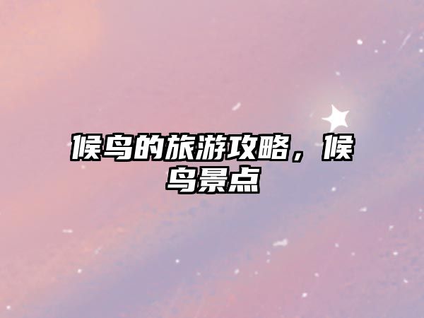 候鳥的旅游攻略，候鳥景點