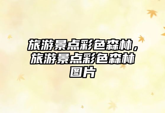 旅游景點(diǎn)彩色森林，旅游景點(diǎn)彩色森林圖片
