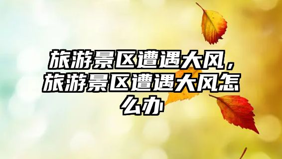 旅游景區(qū)遭遇大風(fēng)，旅游景區(qū)遭遇大風(fēng)怎么辦
