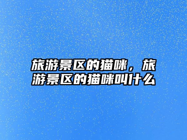 旅游景區的貓咪，旅游景區的貓咪叫什么
