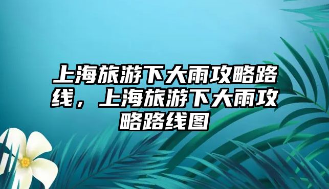 上海旅游下大雨攻略路線，上海旅游下大雨攻略路線圖