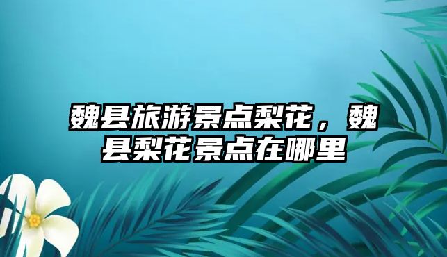 魏縣旅游景點梨花，魏縣梨花景點在哪里