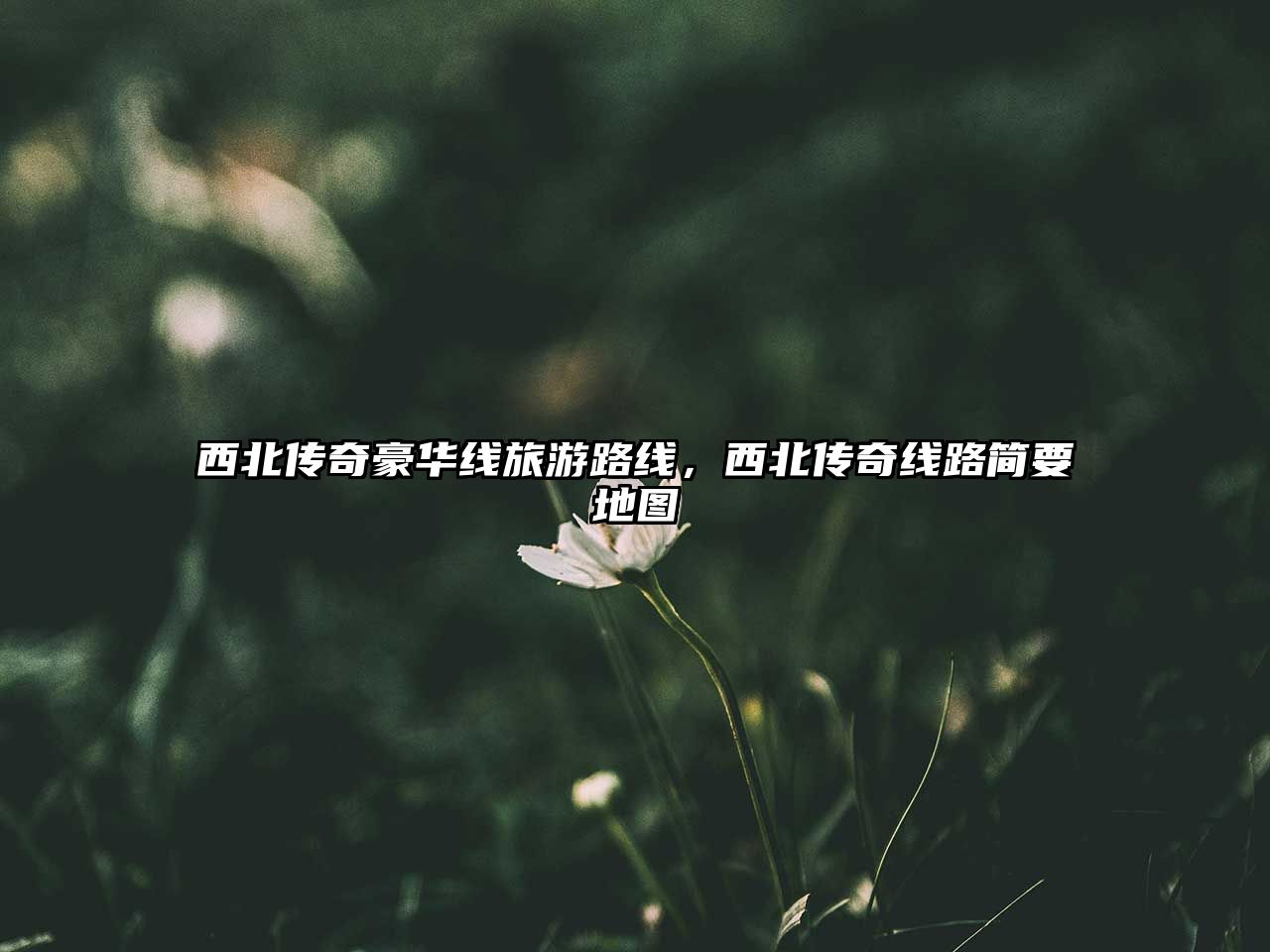 西北傳奇豪華線旅游路線，西北傳奇線路簡要地圖