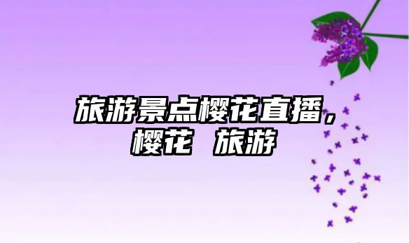 旅游景點櫻花直播，櫻花 旅游