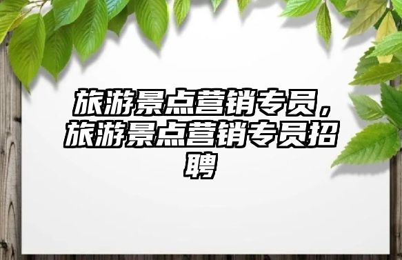 旅游景點營銷專員，旅游景點營銷專員招聘
