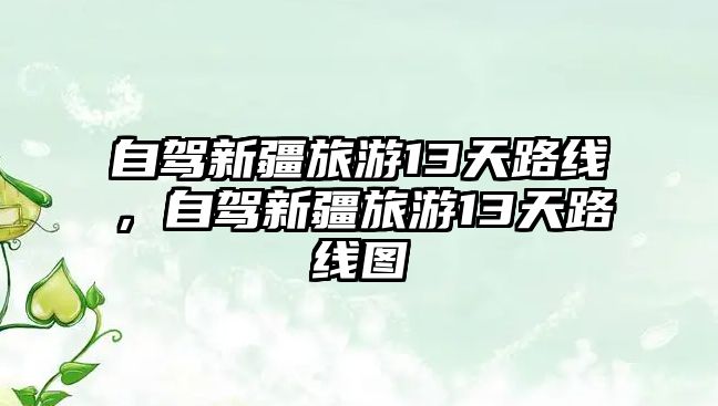 自駕新疆旅游13天路線，自駕新疆旅游13天路線圖