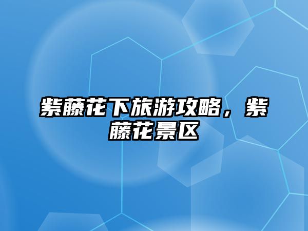 紫藤花下旅游攻略，紫藤花景區