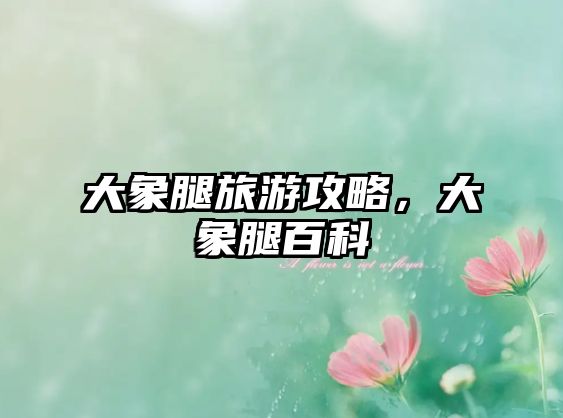 大象腿旅游攻略，大象腿百科