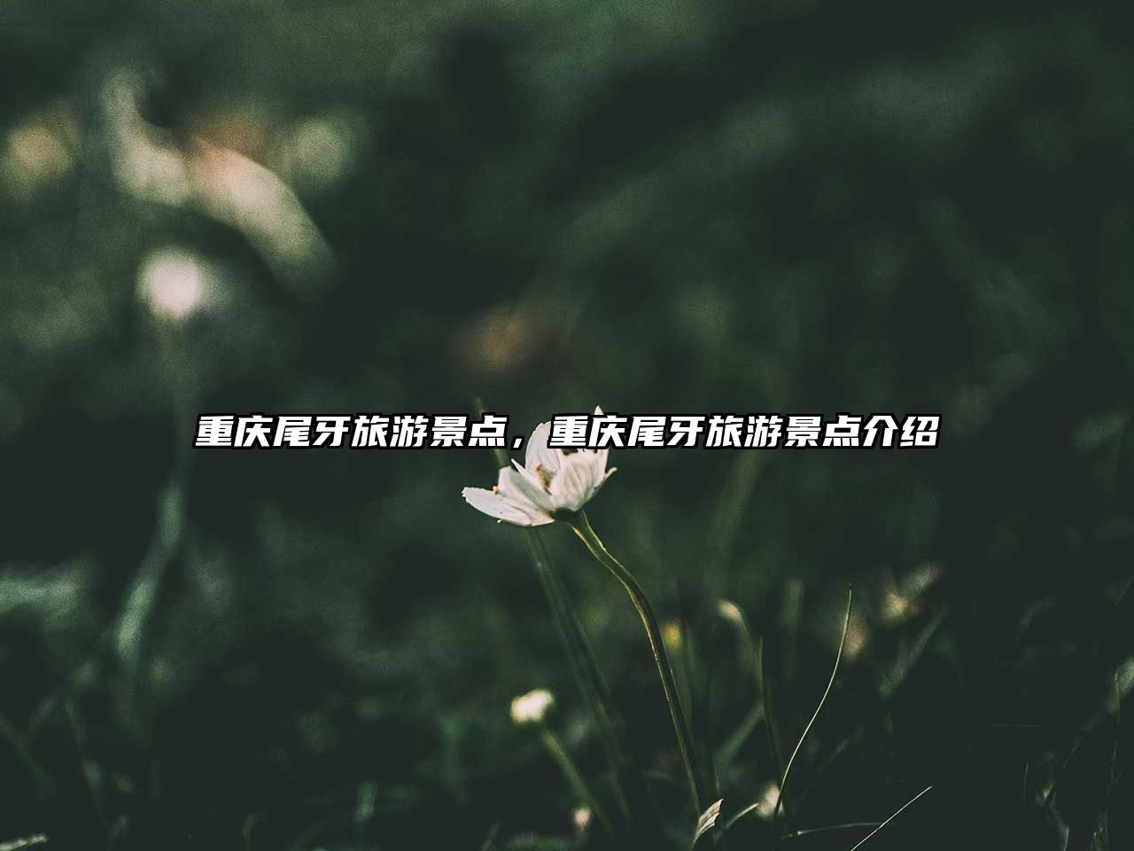 重慶尾牙旅游景點，重慶尾牙旅游景點介紹