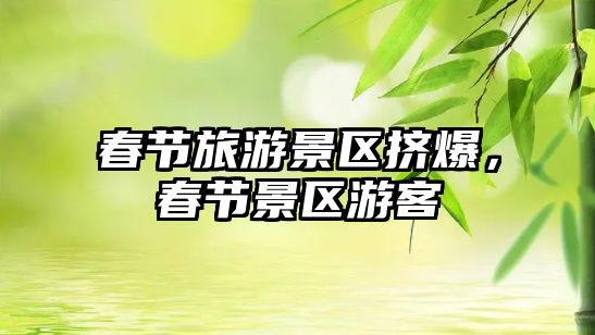春節(jié)旅游景區(qū)擠爆，春節(jié)景區(qū)游客