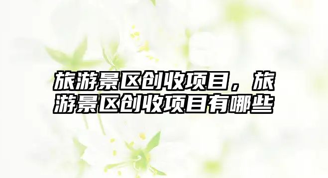 旅游景區創收項目，旅游景區創收項目有哪些
