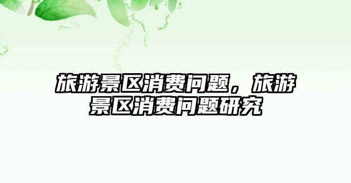 旅游景區(qū)消費問題，旅游景區(qū)消費問題研究