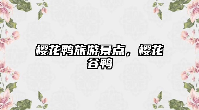 櫻花鴨旅游景點，櫻花谷鴨