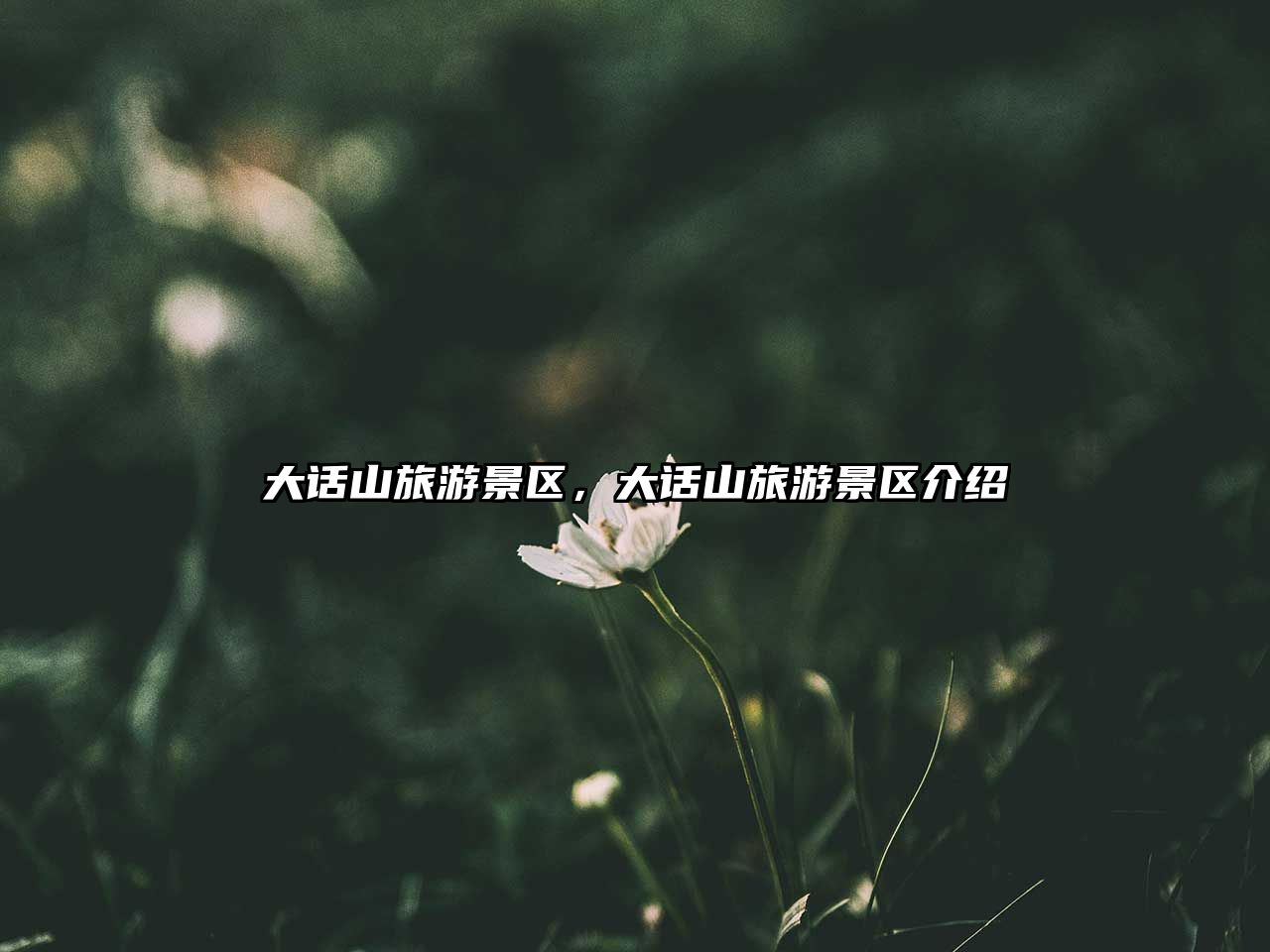 大話山旅游景區，大話山旅游景區介紹