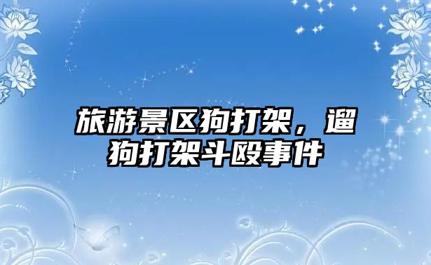 旅游景區狗打架，遛狗打架斗毆事件