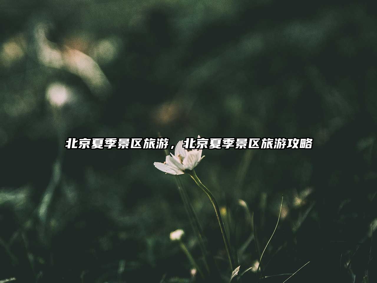 北京夏季景區旅游，北京夏季景區旅游攻略