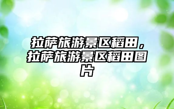 拉薩旅游景區稻田，拉薩旅游景區稻田圖片