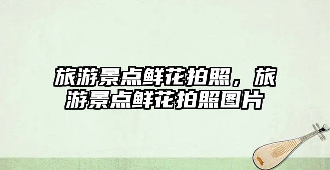 旅游景點(diǎn)鮮花拍照，旅游景點(diǎn)鮮花拍照?qǐng)D片