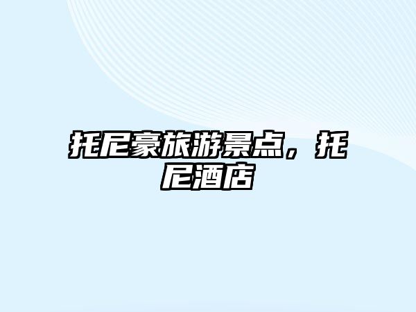 托尼豪旅游景點，托尼酒店