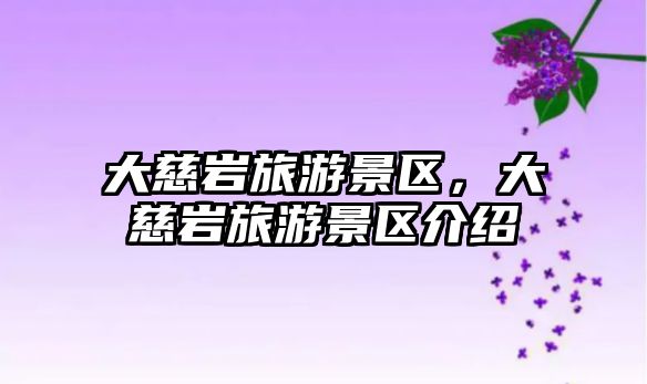 大慈巖旅游景區，大慈巖旅游景區介紹