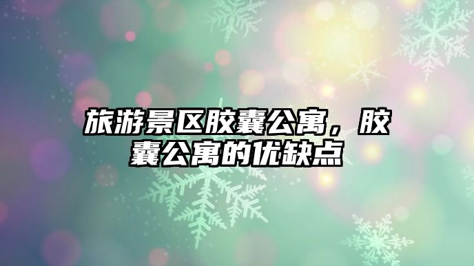 旅游景區膠囊公寓，膠囊公寓的優缺點