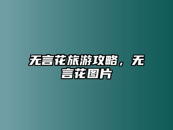 無言花旅游攻略，無言花圖片
