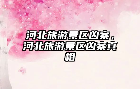 河北旅游景區兇案，河北旅游景區兇案真相
